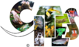 This image for Image Layouts addon