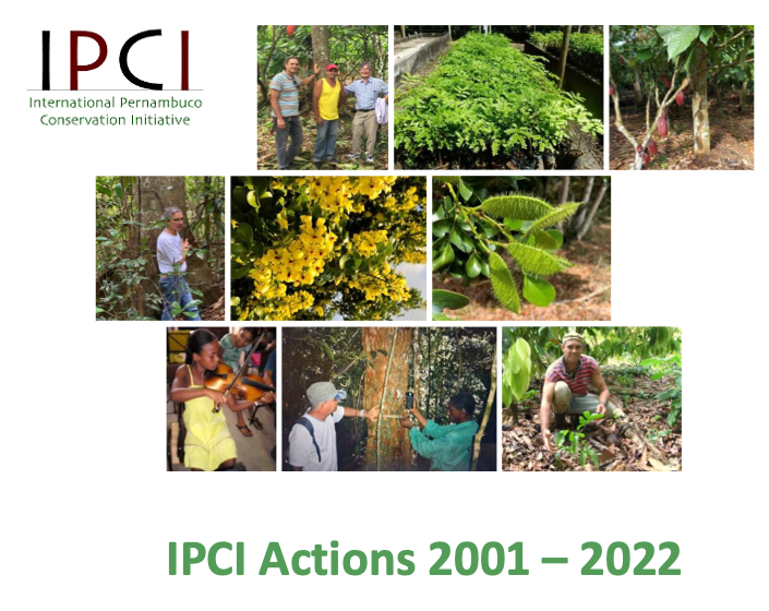 IPCI PERNAMBOUC