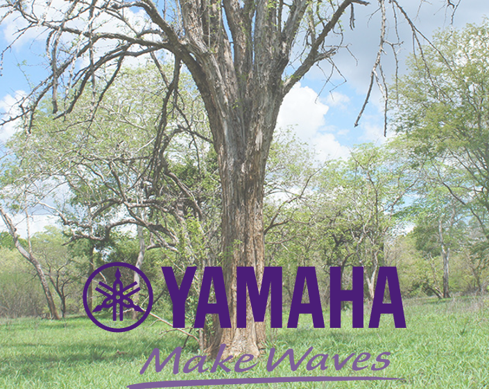 YAMAHA