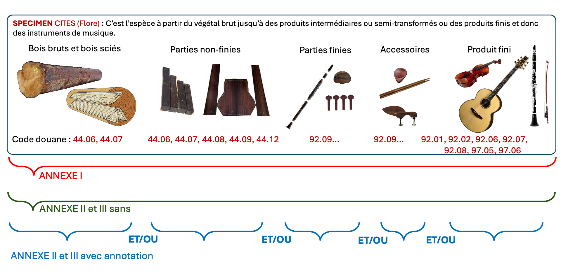 annexe I II et II