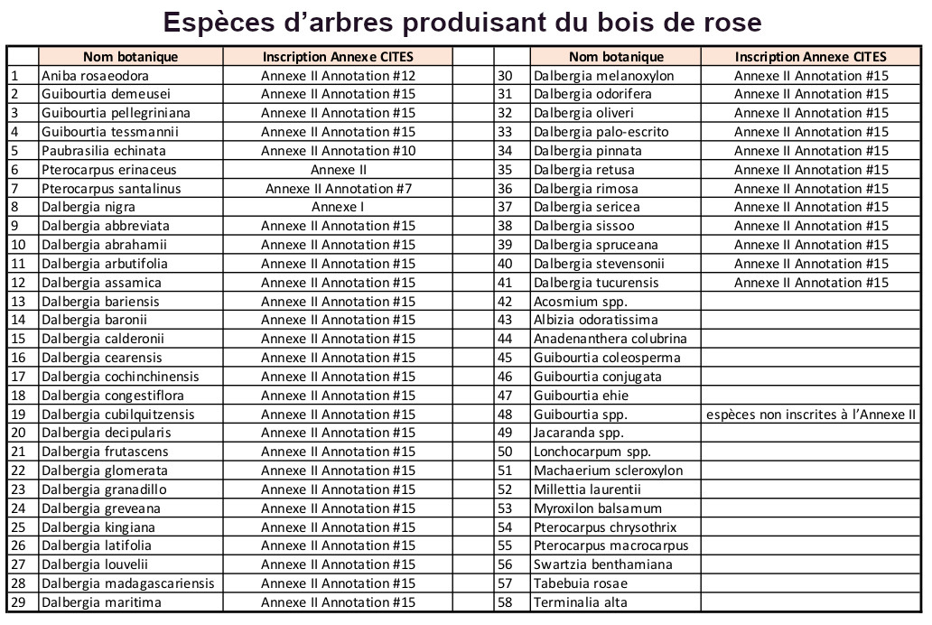 liste des espèces de bois de rose