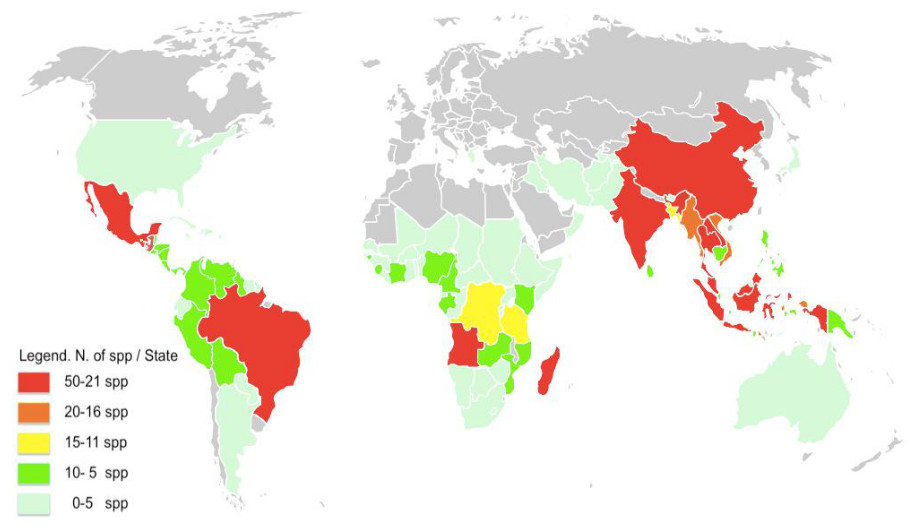 répartition géographique des palissandres dalbergia