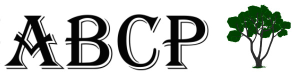 2020 ABCP 2